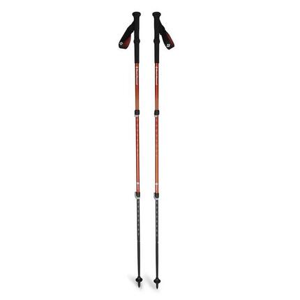 Bâton de trekking Black Diamond Trail Back (x2)