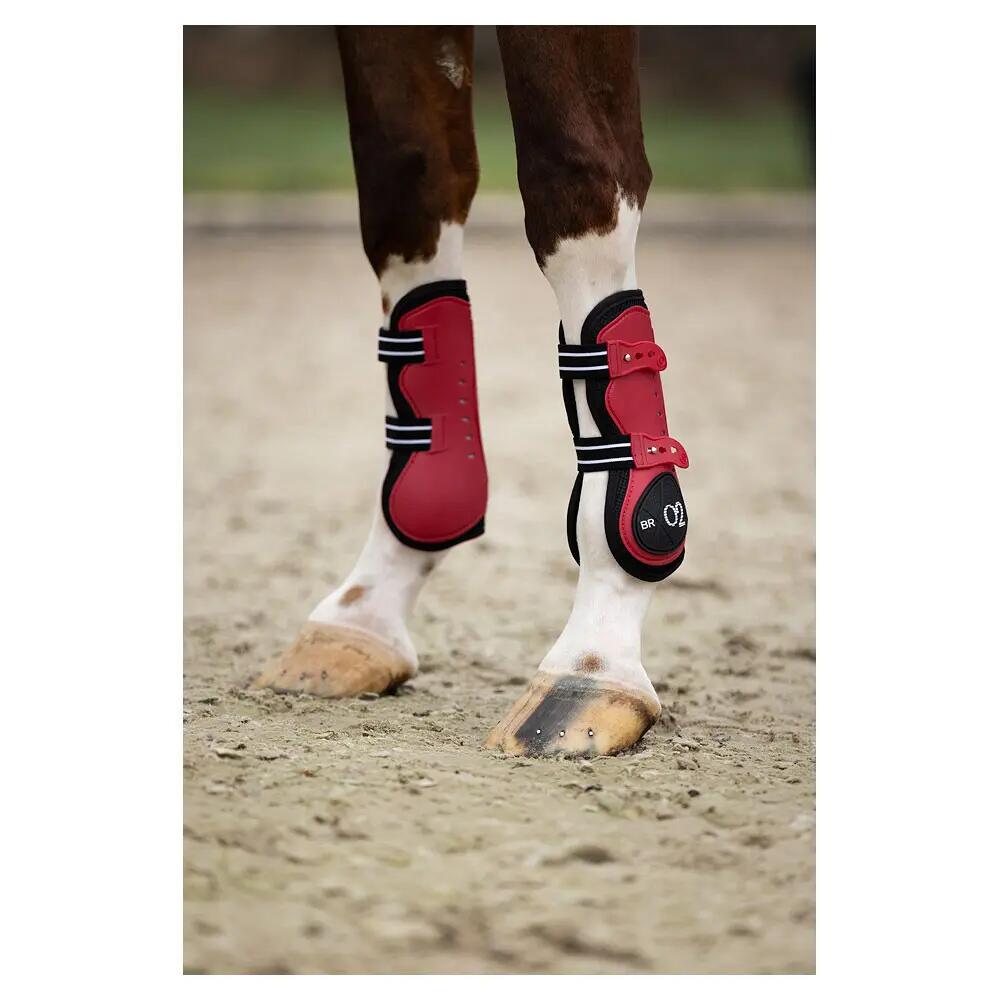Horse tendon boots BR Equitation XO2 5/7