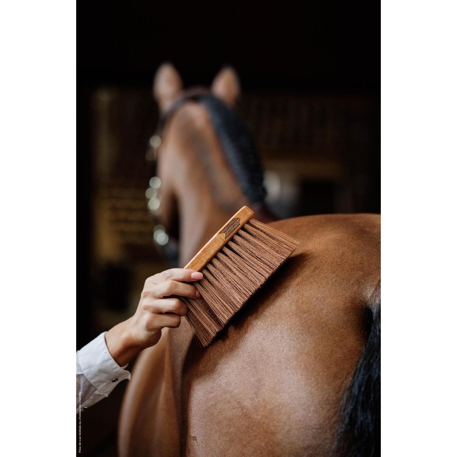 Medium horse stopper Kentucky 7/7