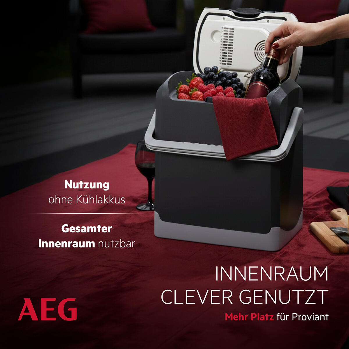 AEG Kühlbox KK14 6/7