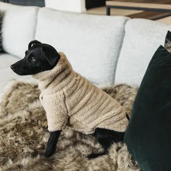 Hondentrekker Kentucky Teddy Fleece 2/5