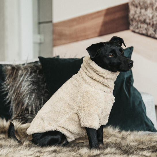 Hondentrekker Kentucky Teddy Fleece 4/5