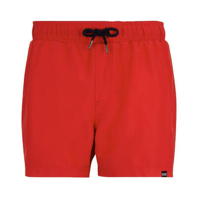 Costume Da Bagno A Pantaloncino Uomo Regatta Mawson II Sharp Green (Verde) Blu