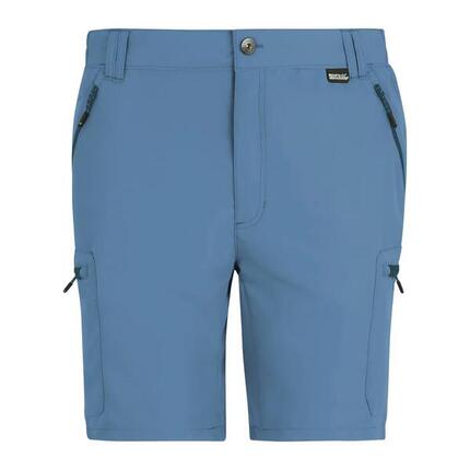 REGATTA Regatta Shorts LeesvilleShrtIII Hommes Golden Sand