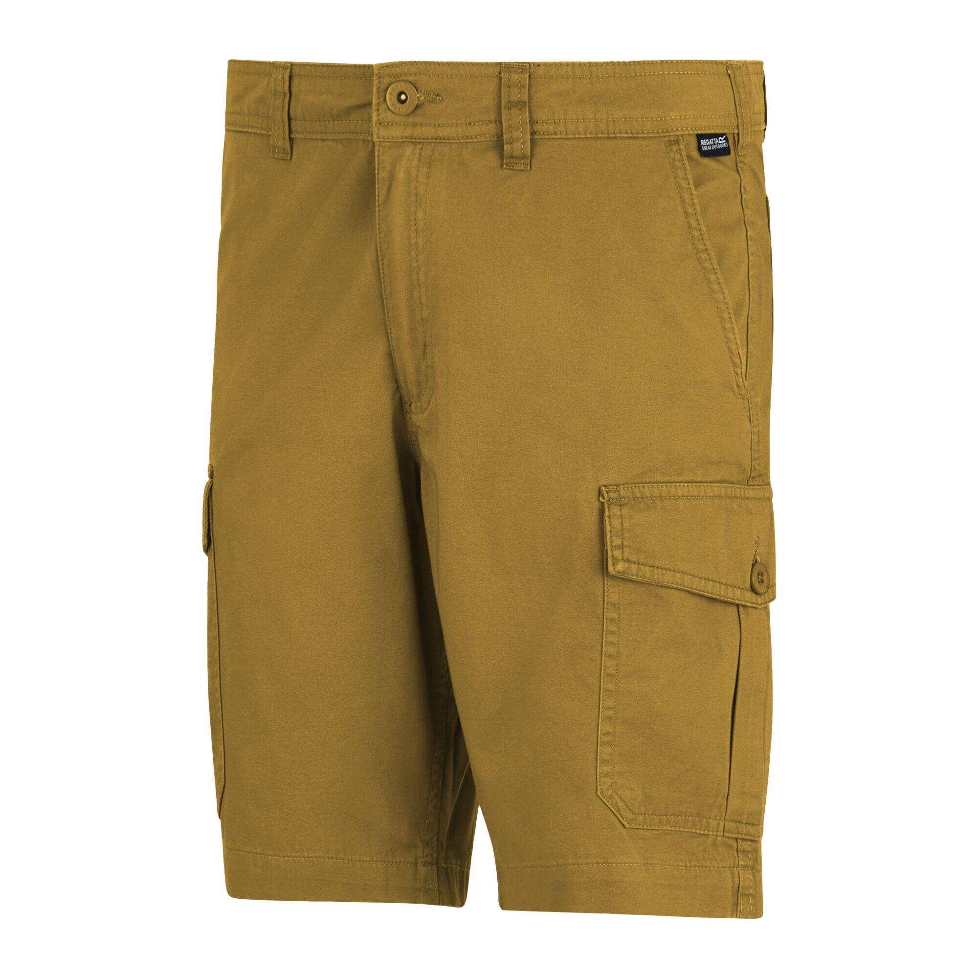 Pantaloncini Casual Uomo Regatta Ruwan Marrone Legno 3/5