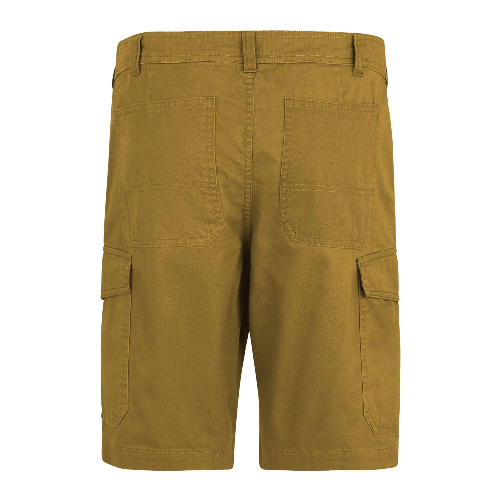 Pantaloncini Casual Uomo Regatta Ruwan Marrone Legno 2/5