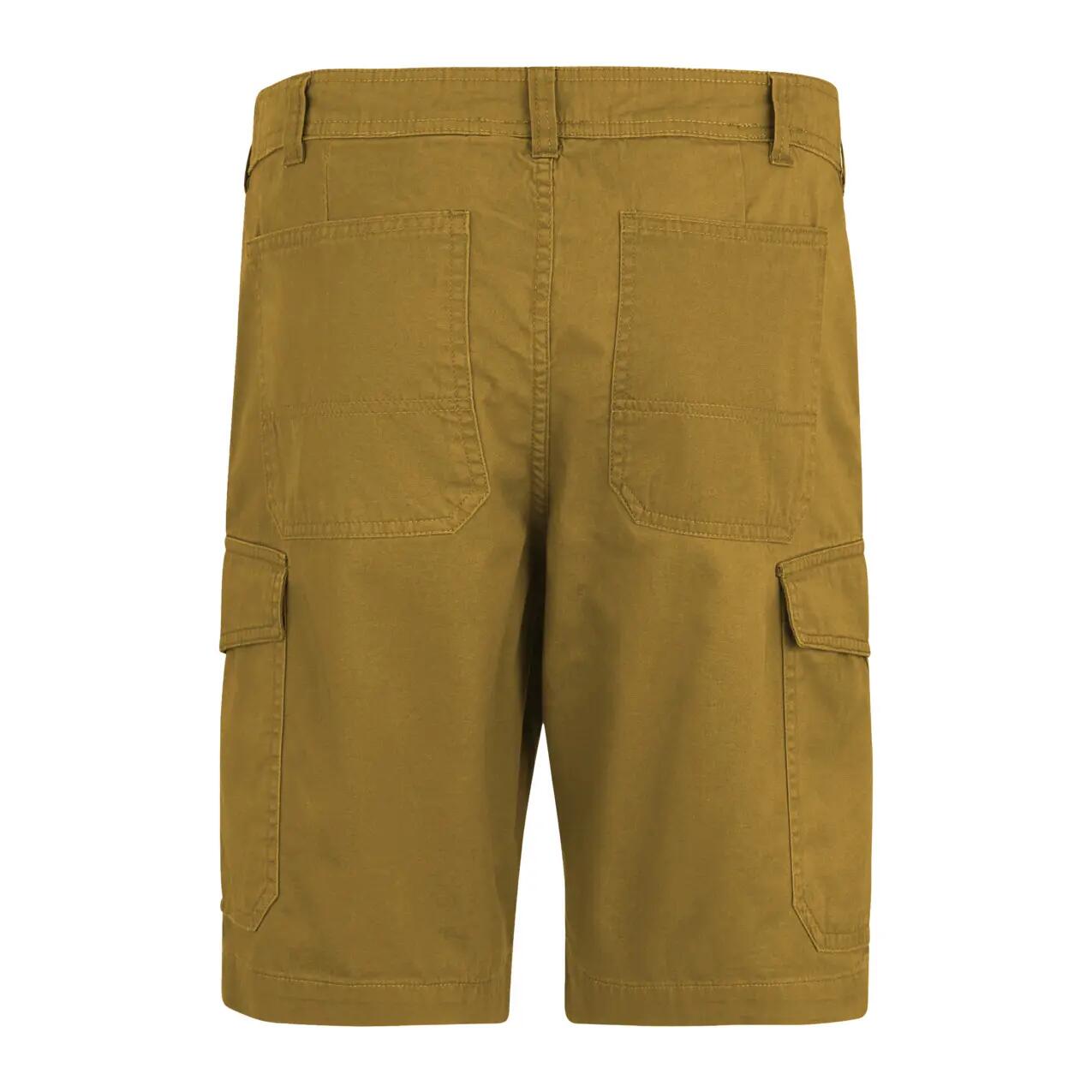 Cargo Shorts Regatta Ruwan Casual 2/3
