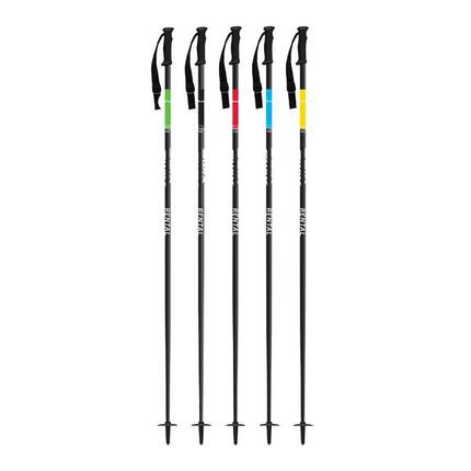 Bâton de ski Swix Rental Classic Composite