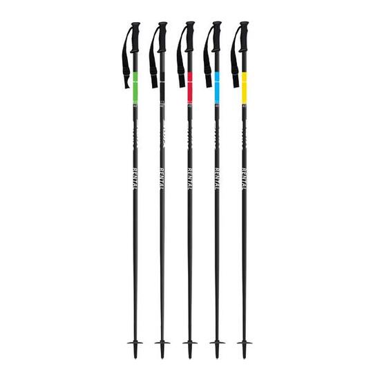 Bâton de ski Swix Rental Classic Composite