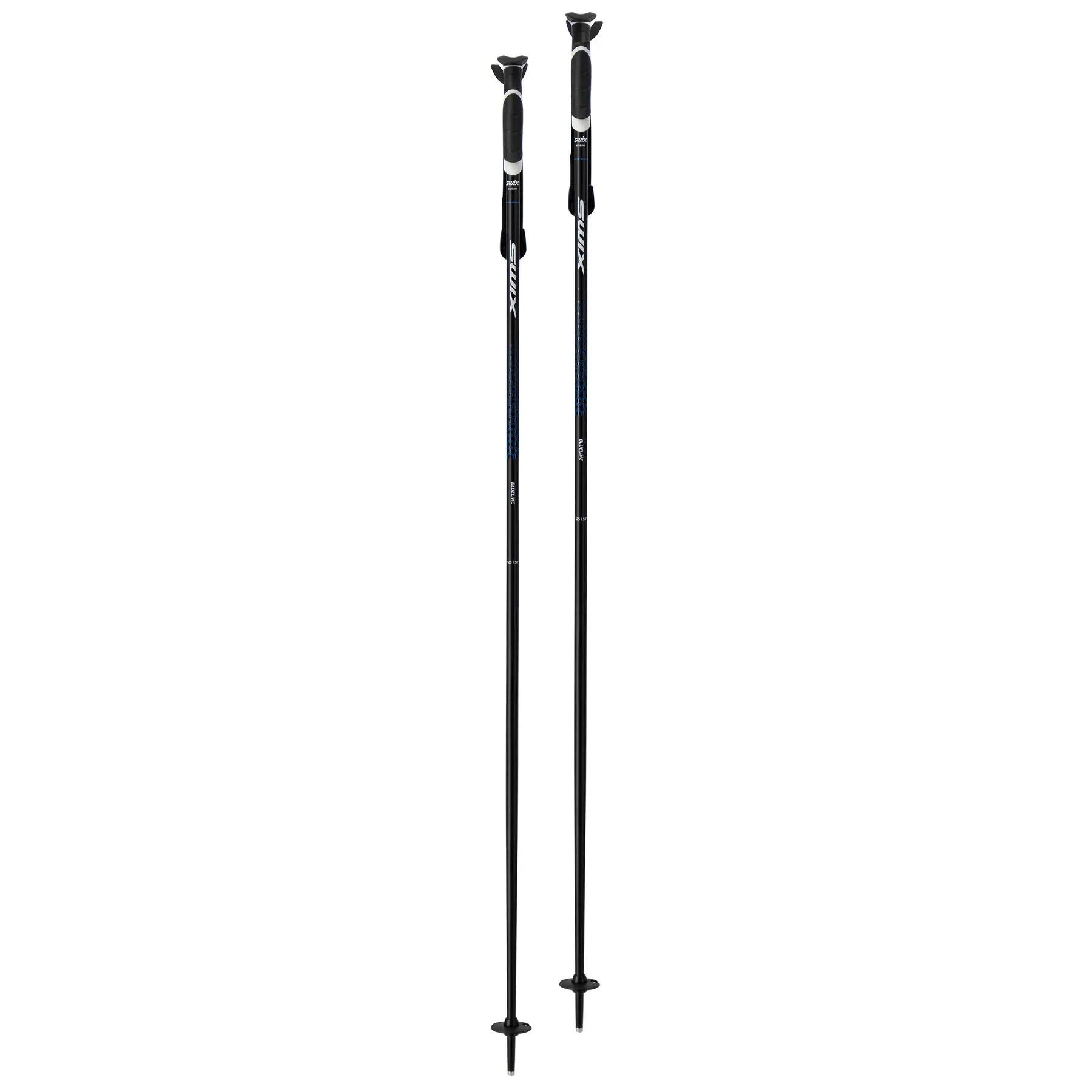Bâton de ski Swix Blueline Barracuda 2/4