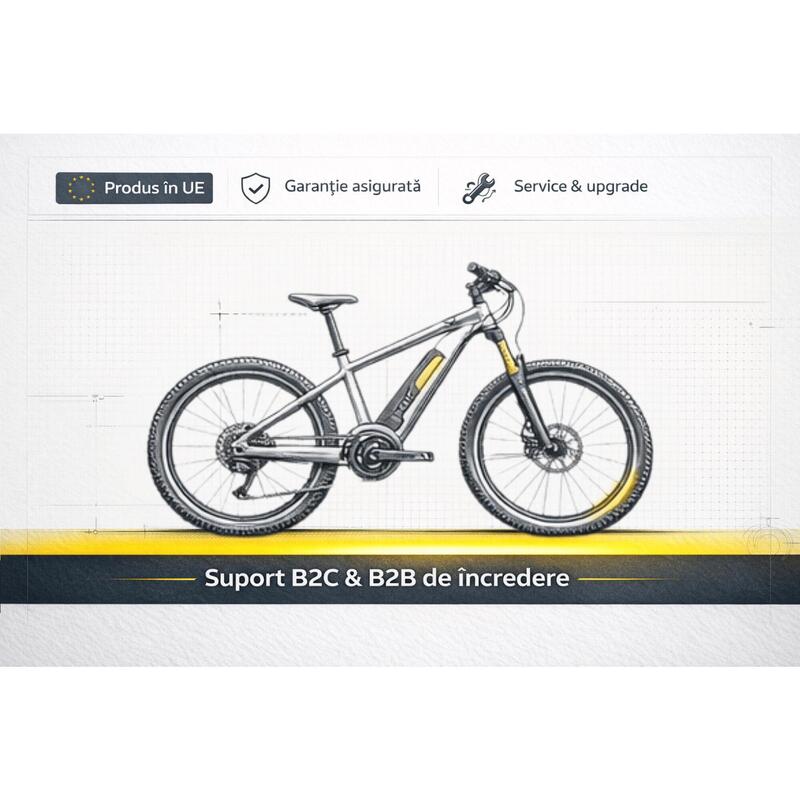 Bicicleta electrica MTB DHS 52870 - 29 inch, L, Gri