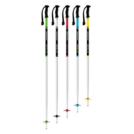 Bâton de ski enfant Swix Rental Classic