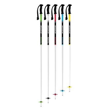 Bâton de ski Swix Rental Classic Pole