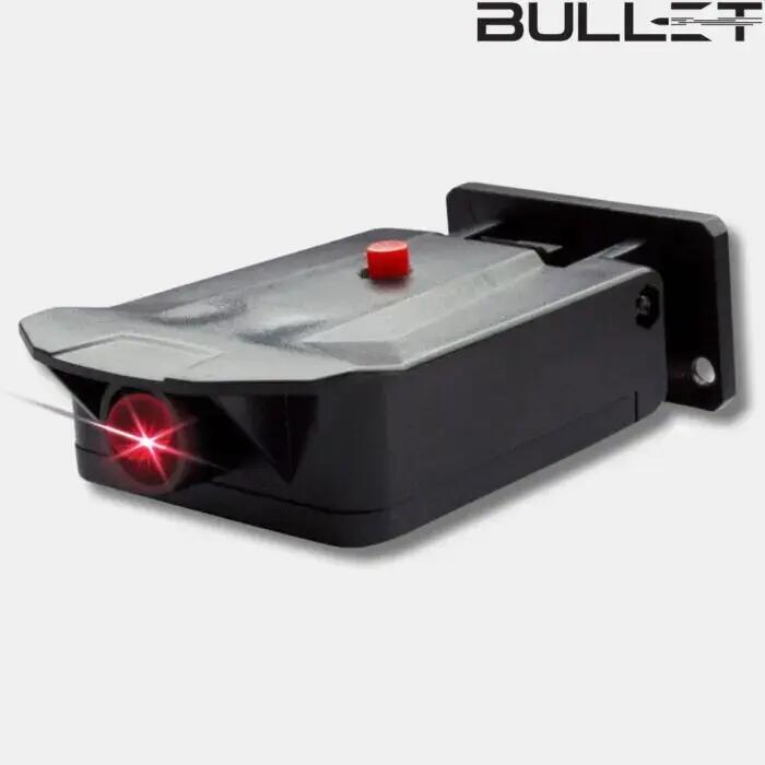 BULLET picture
