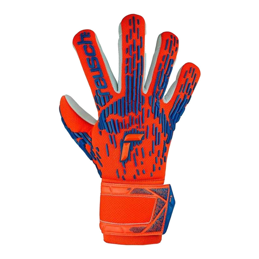REUSCH picture