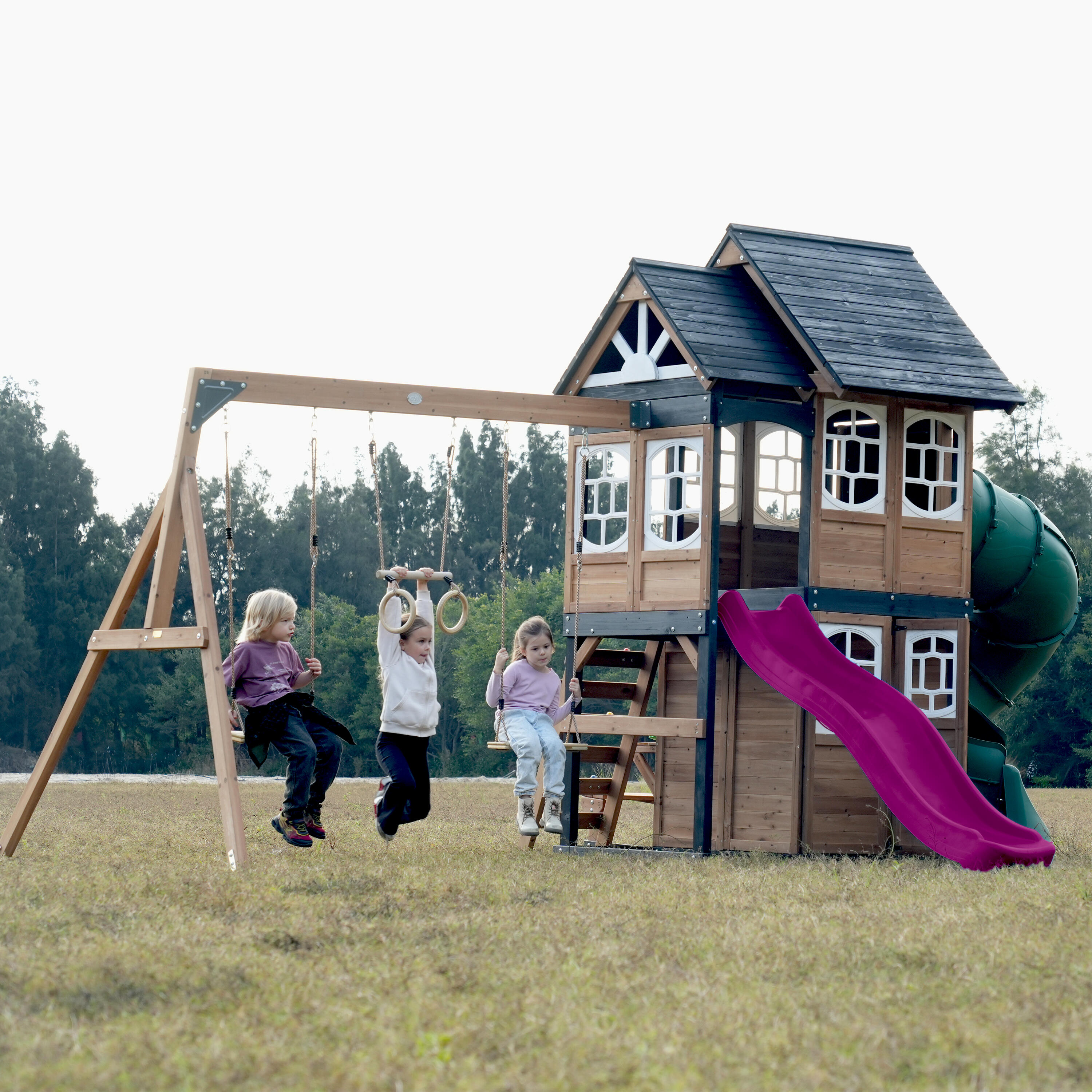 Speeltoestel - AXI Noud - 2 schommels, buisglijbaan - Paars 7/7