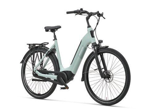 BATAVUS picture