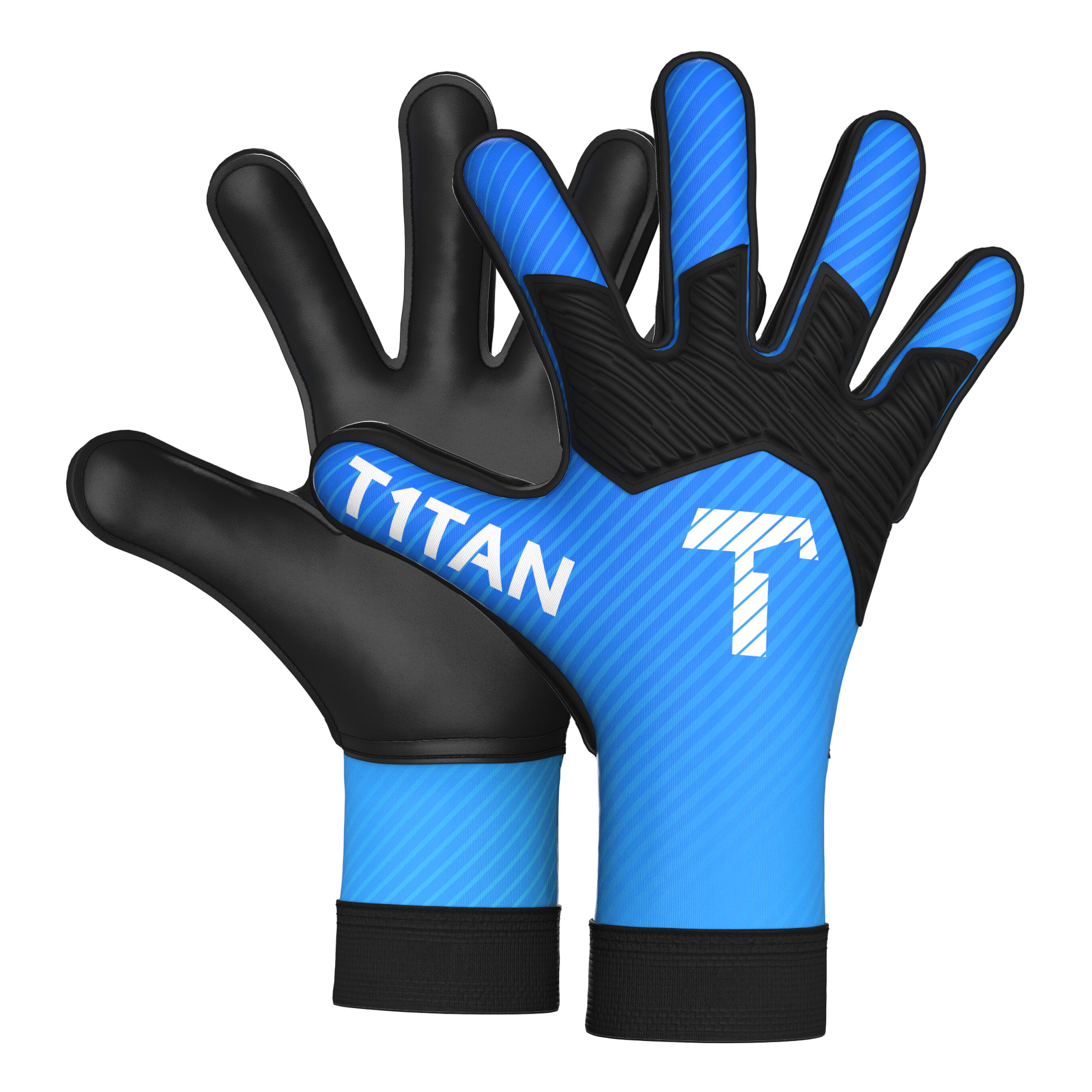 T1TAN picture