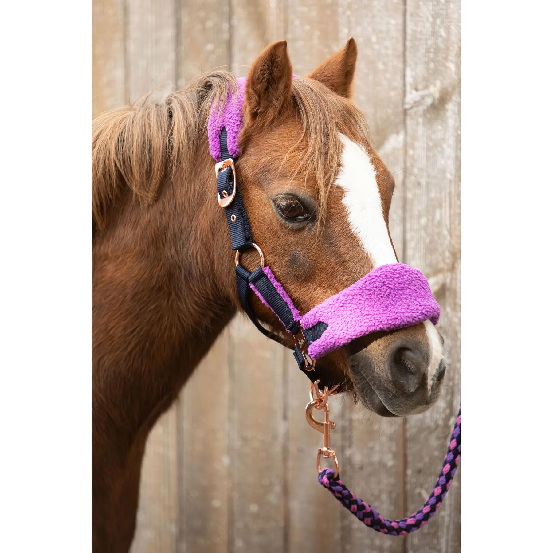 Conjunto de cabresto e corda de chumbo para cavalo Harry's Horse LouLou Royce 3/3