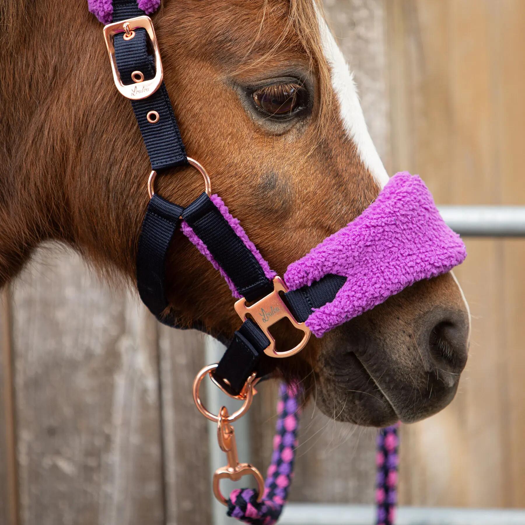 Conjunto de cabresto e corda de chumbo para cavalo Harry's Horse LouLou Royce 2/3