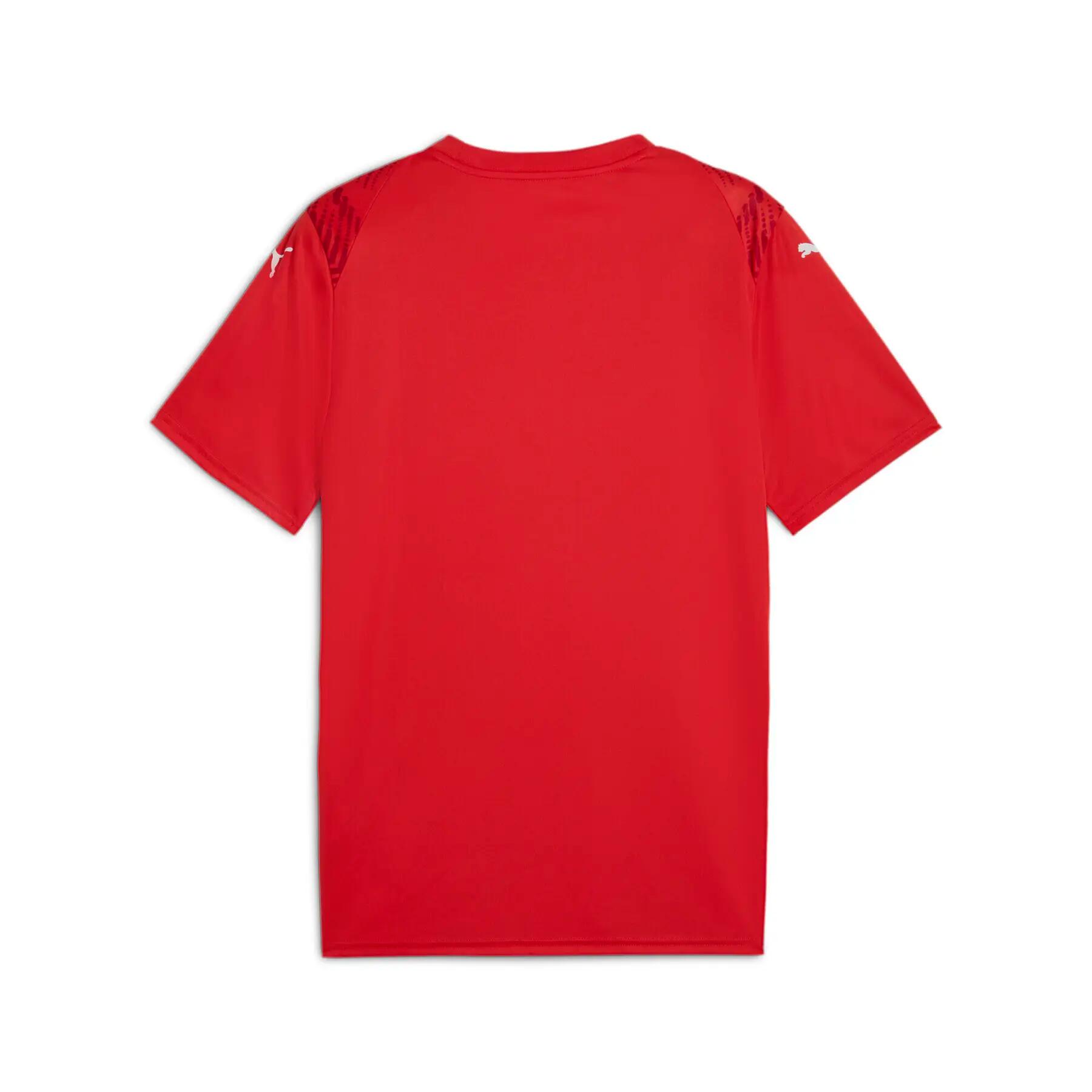 Jersey Puma Ultimate 2/2