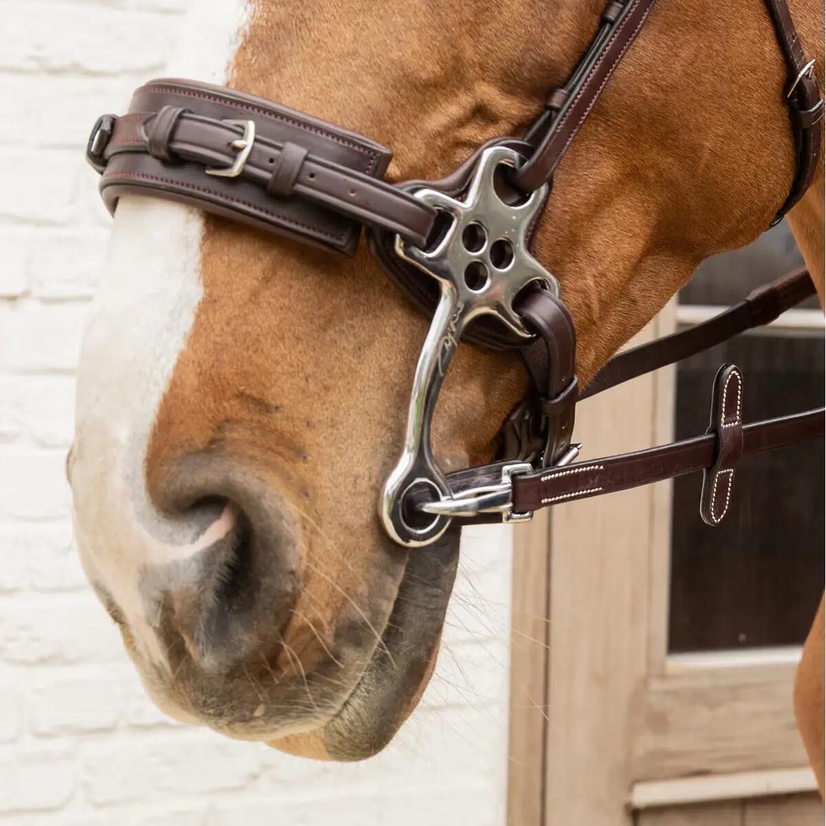 Rênes pour cheval en caoutchouc Dy'on Working Collection 5/8" 3/5