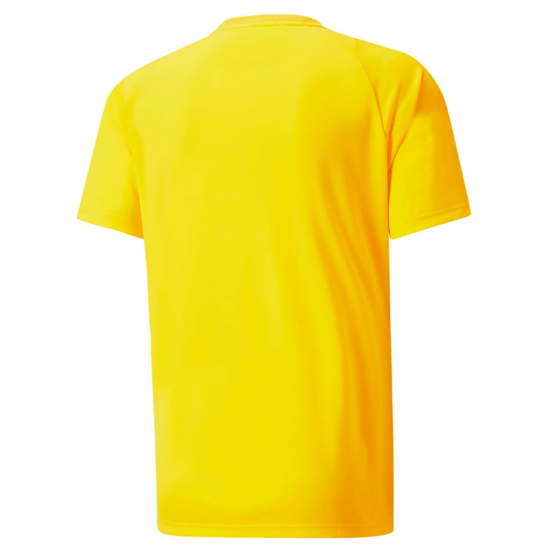 Trikot Puma Team Vision 2/2