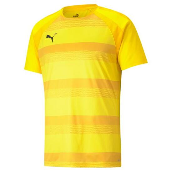 Maillot Puma Team Vision