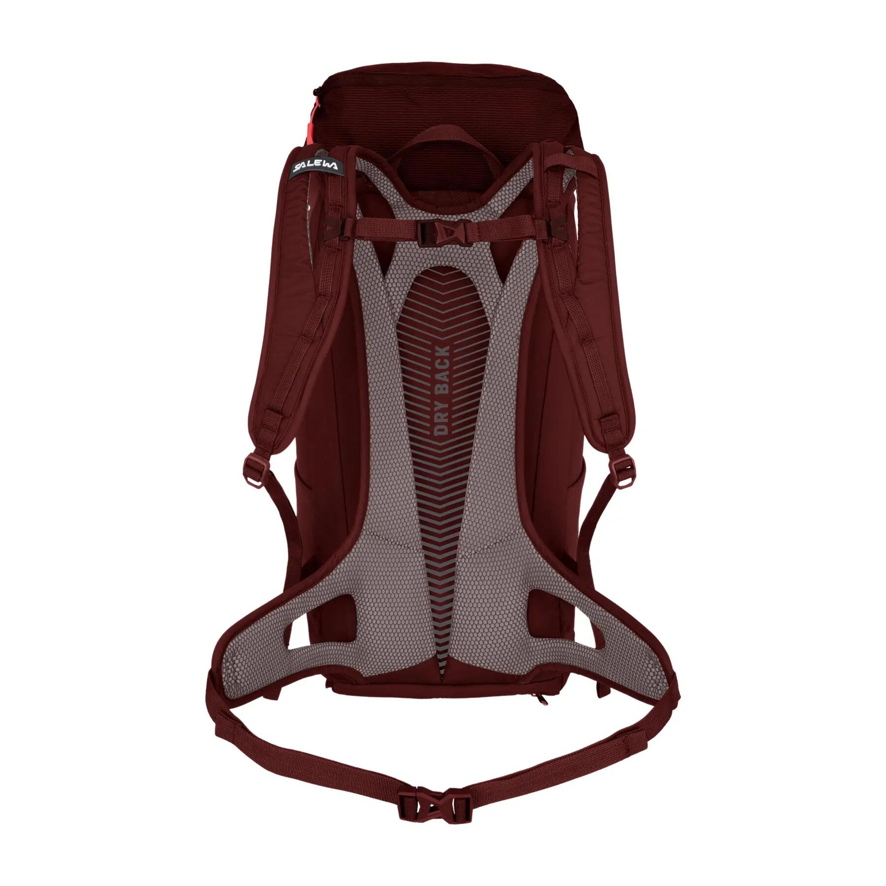 Saco para caminhadas Salewa Alp Mate WS 2/4