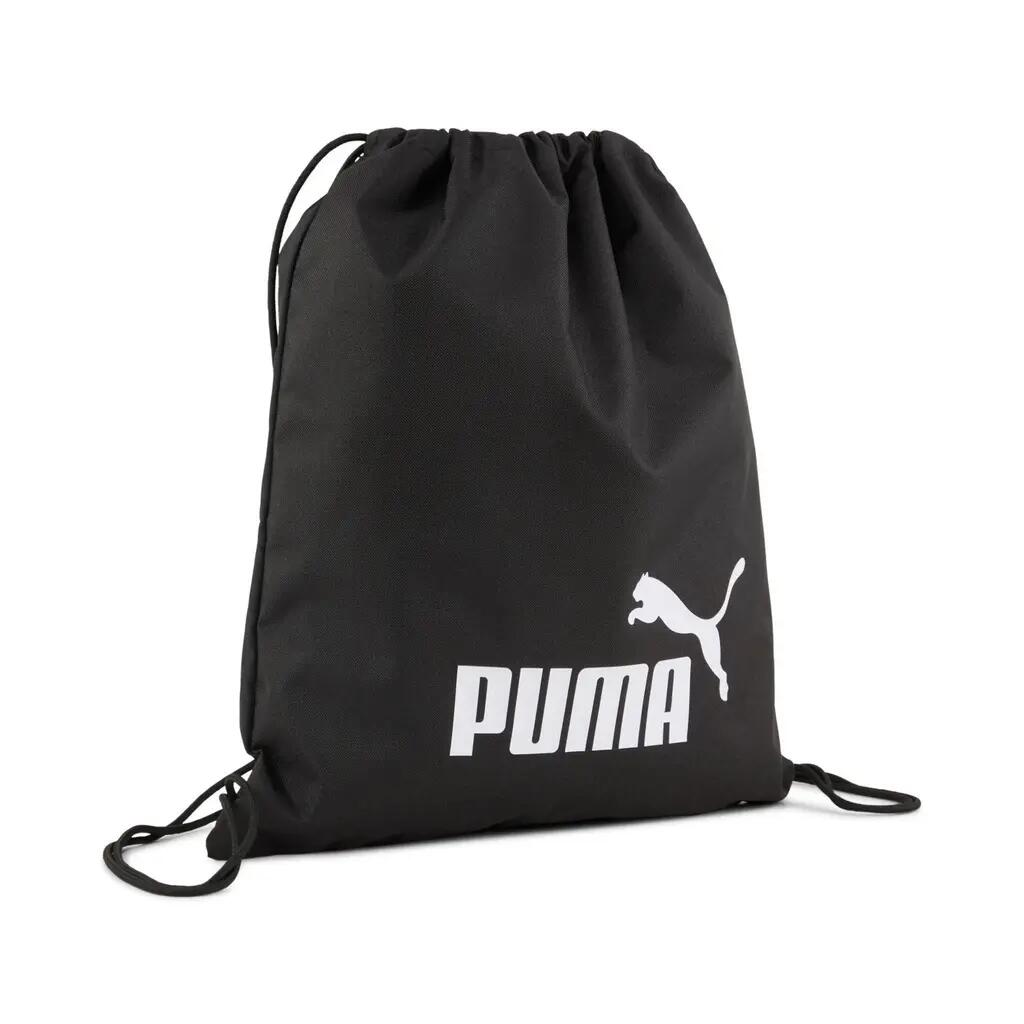 PUMA picture
