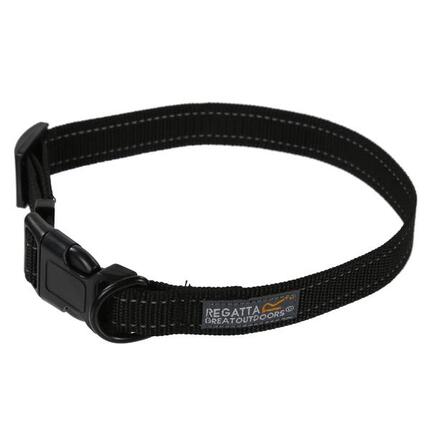 Collier pour chien Regatta
