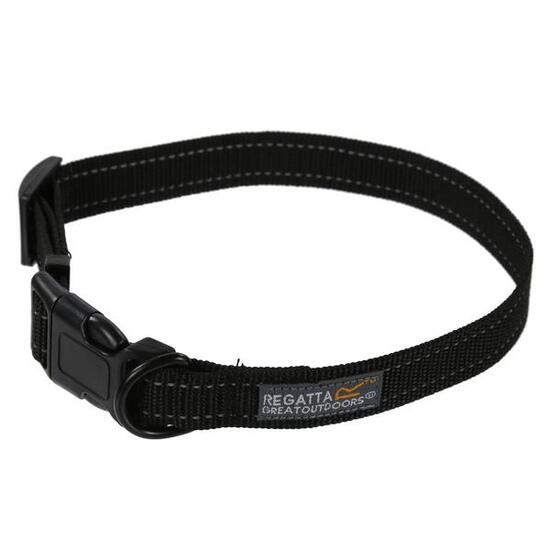 Collier pour chien Regatta