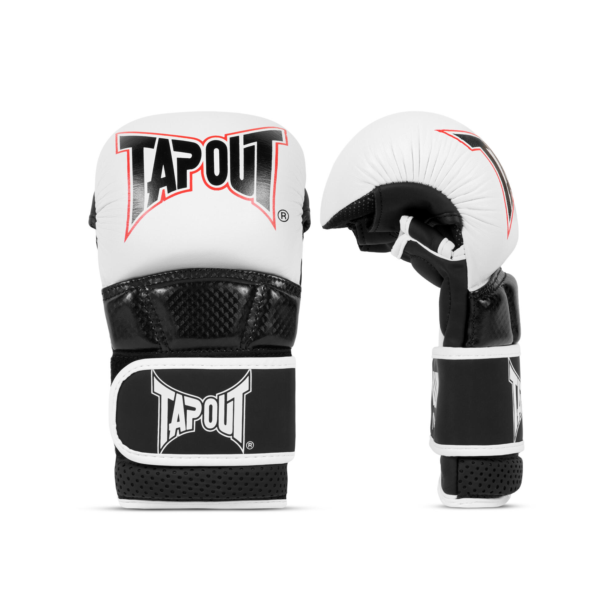 TAPOUT picture