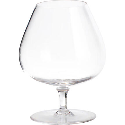 Cognac glazen set Tritan camping reis shot glas breukvast 430 ml