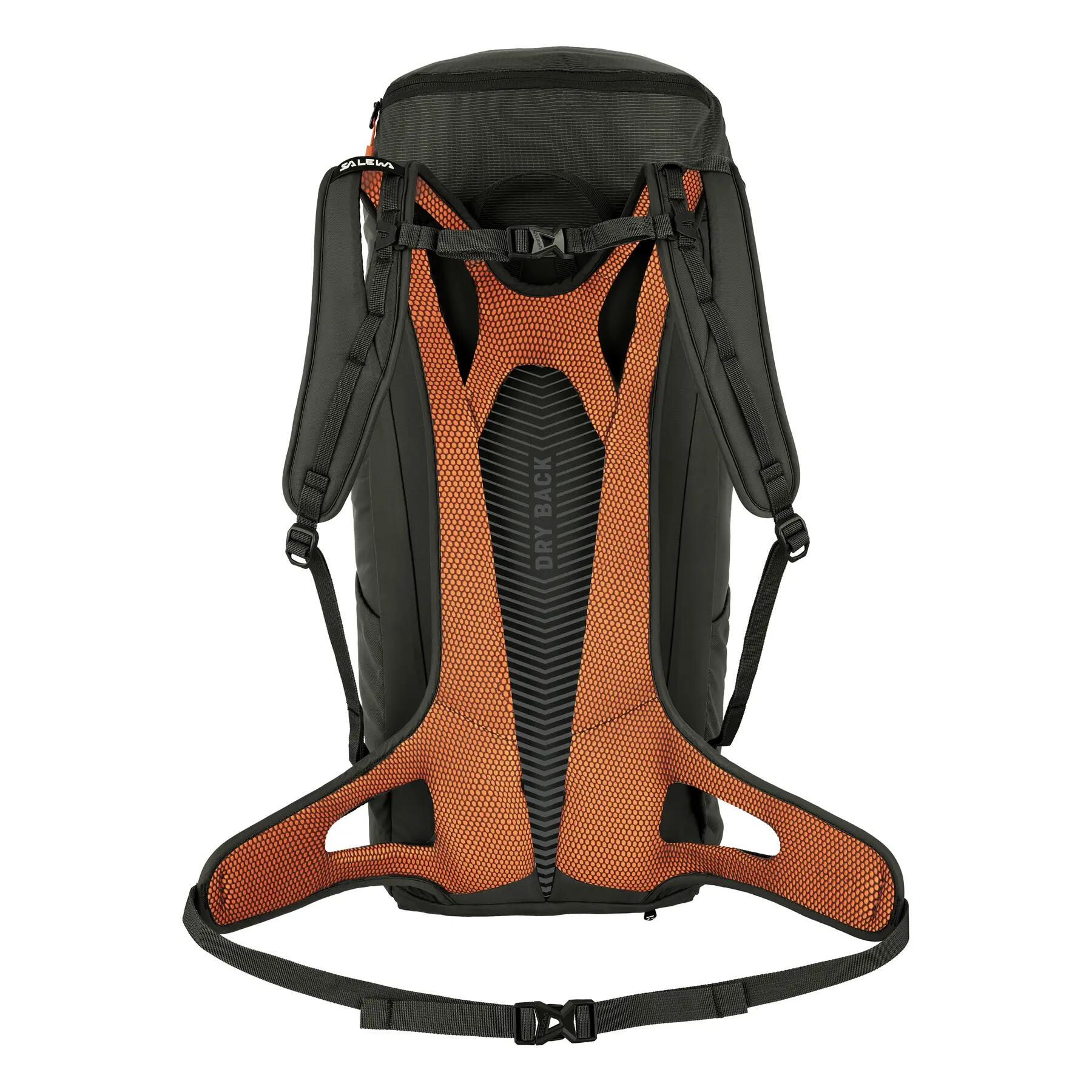 Bolsa de senderismo Salewa Alp Mate 2/4