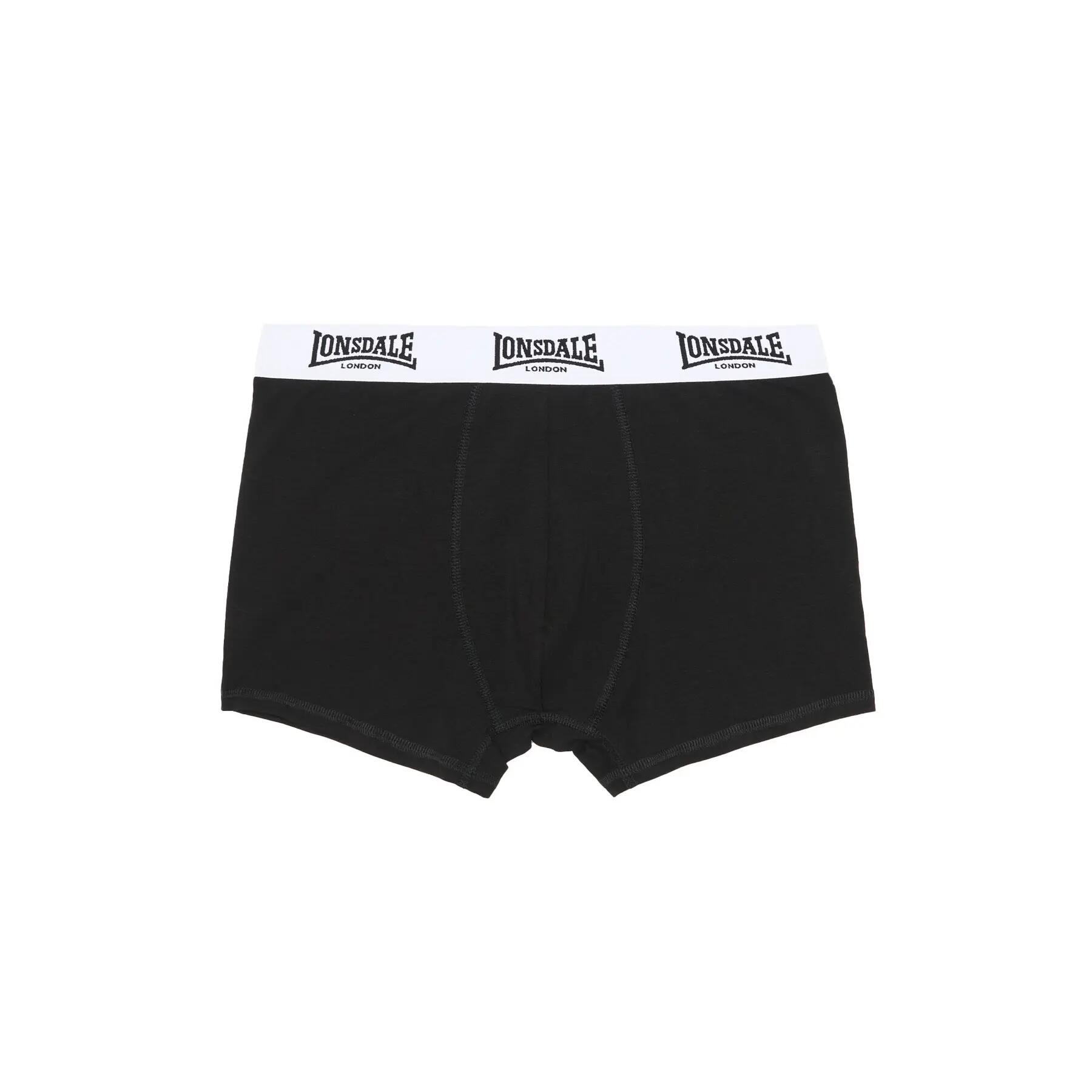 Boxer Lonsdale North Challow (x5) 3/7