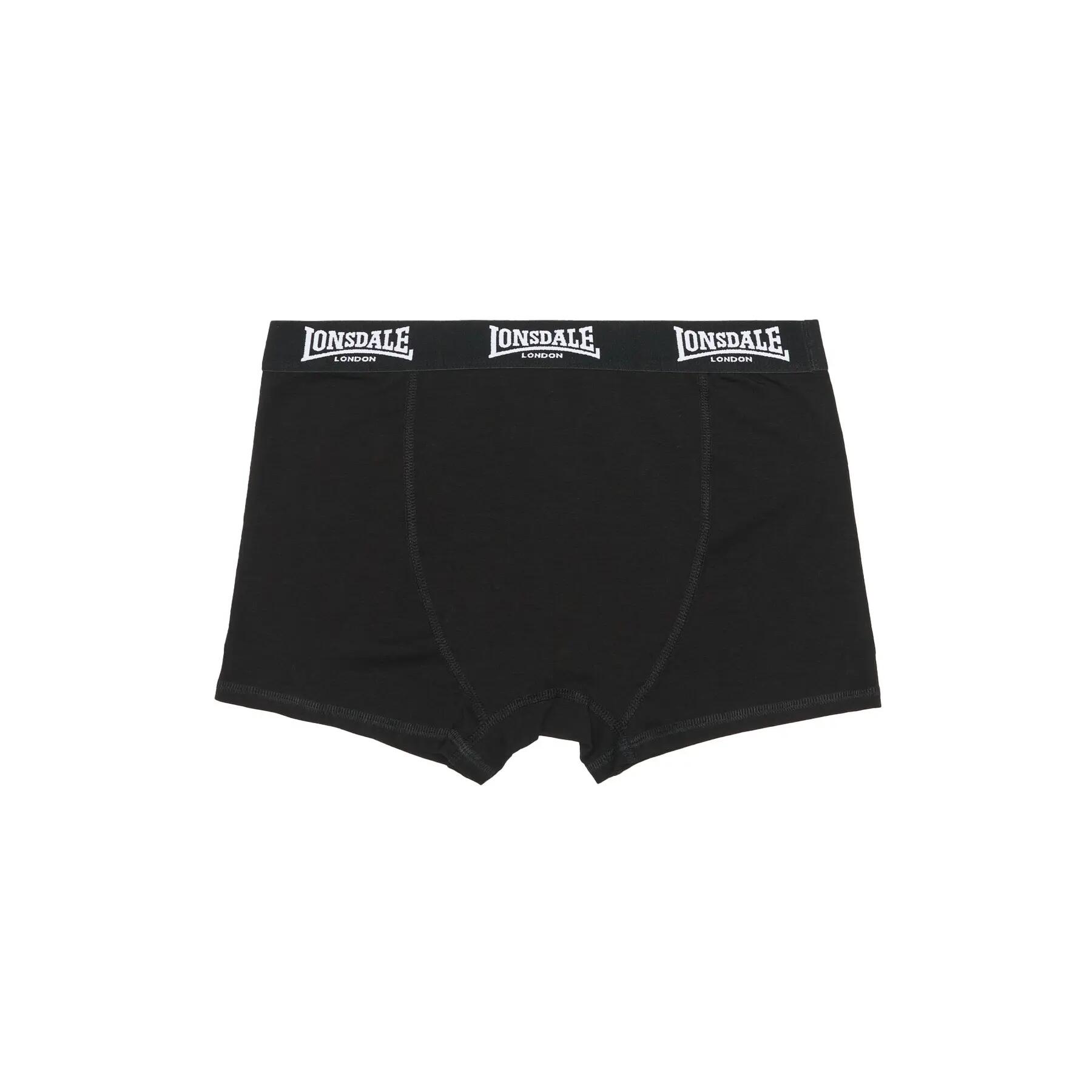 Boxer Lonsdale North Challow (x5) 2/7