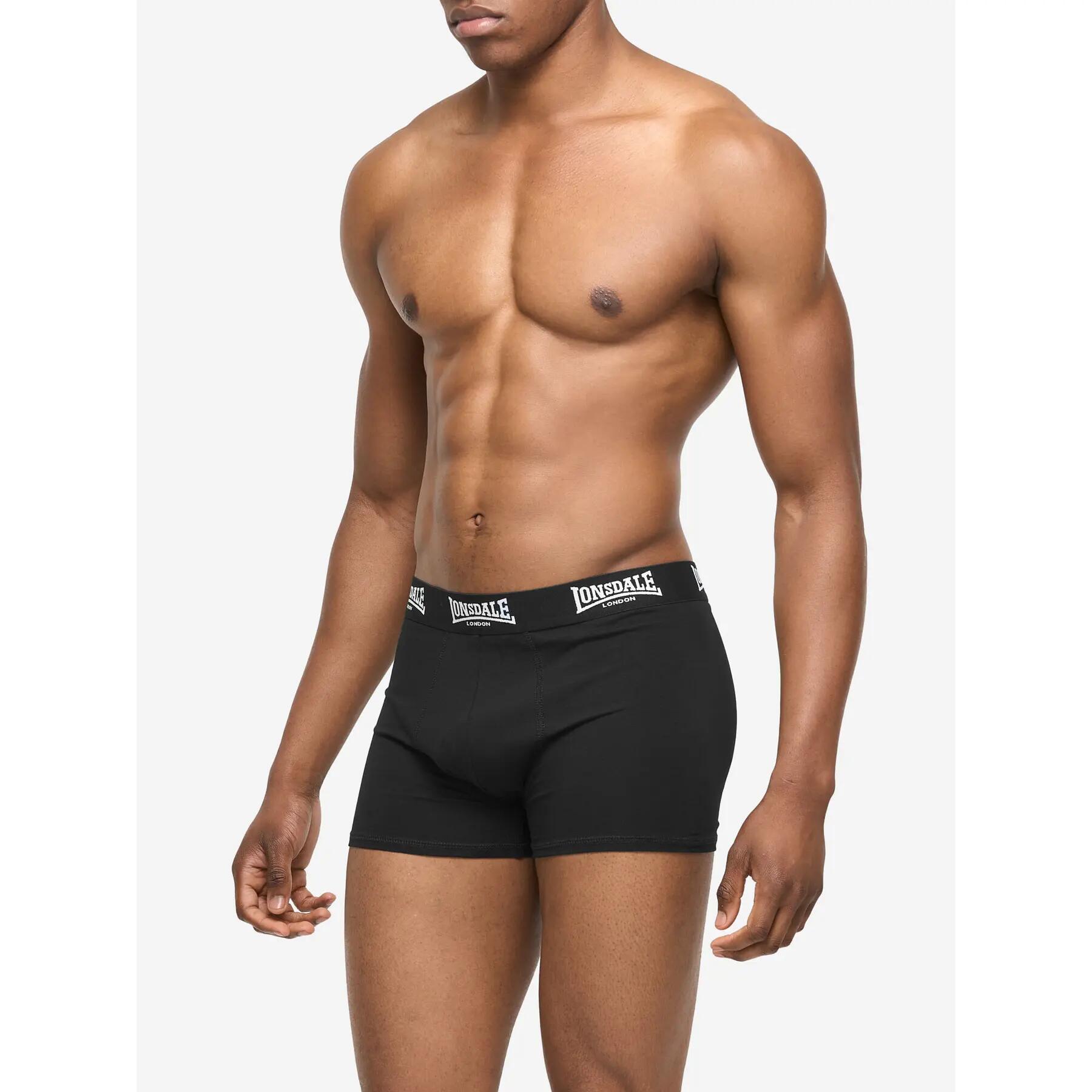 Boxer Lonsdale North Challow (x5) 5/7