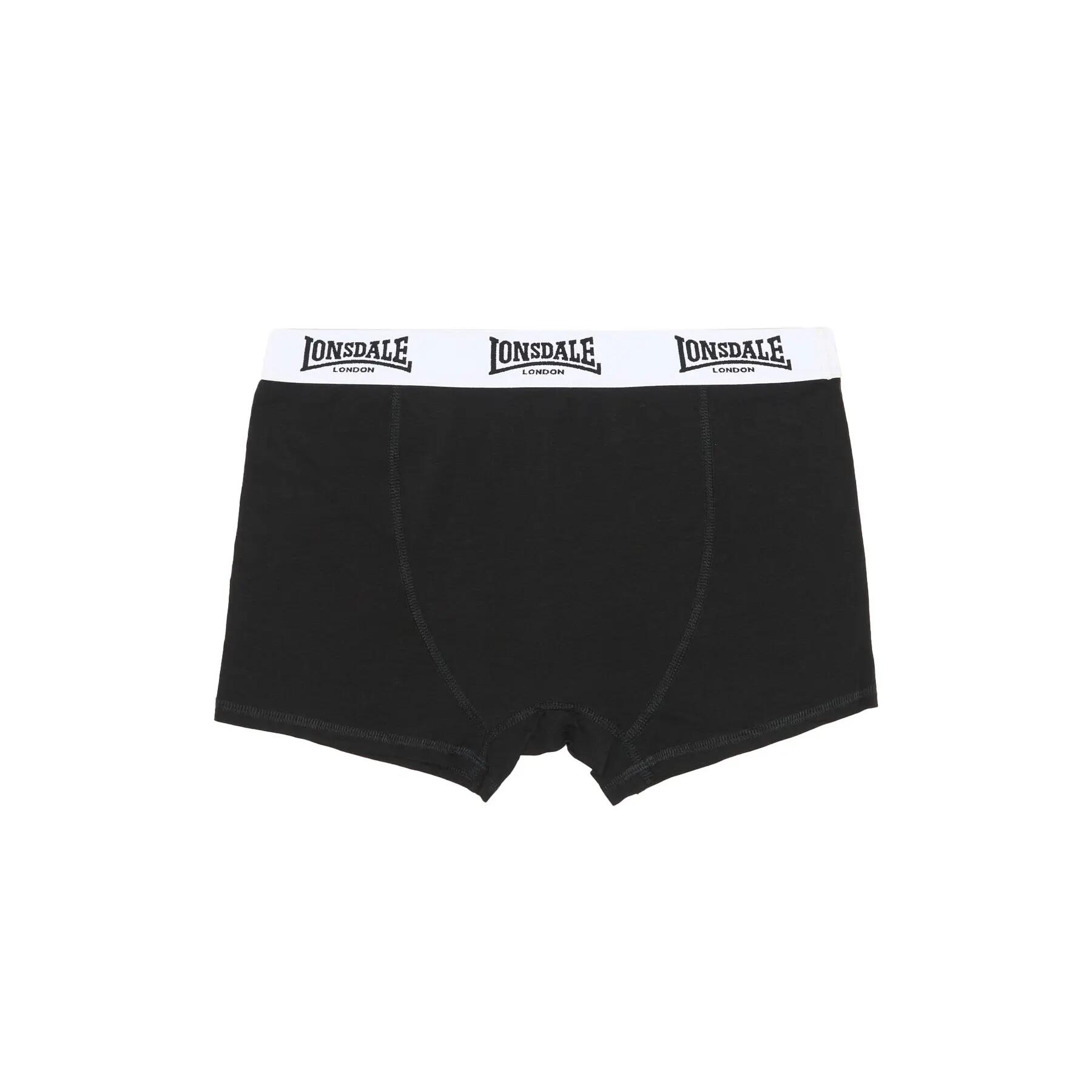 Boxer Lonsdale North Challow (x5) 4/7