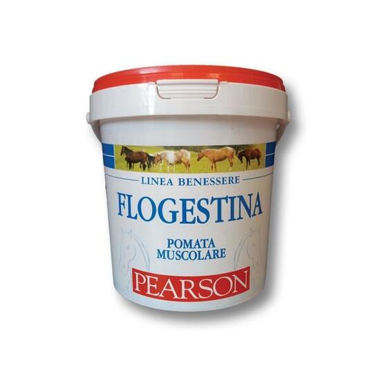 Creme für Pferde Tattini Flogestina