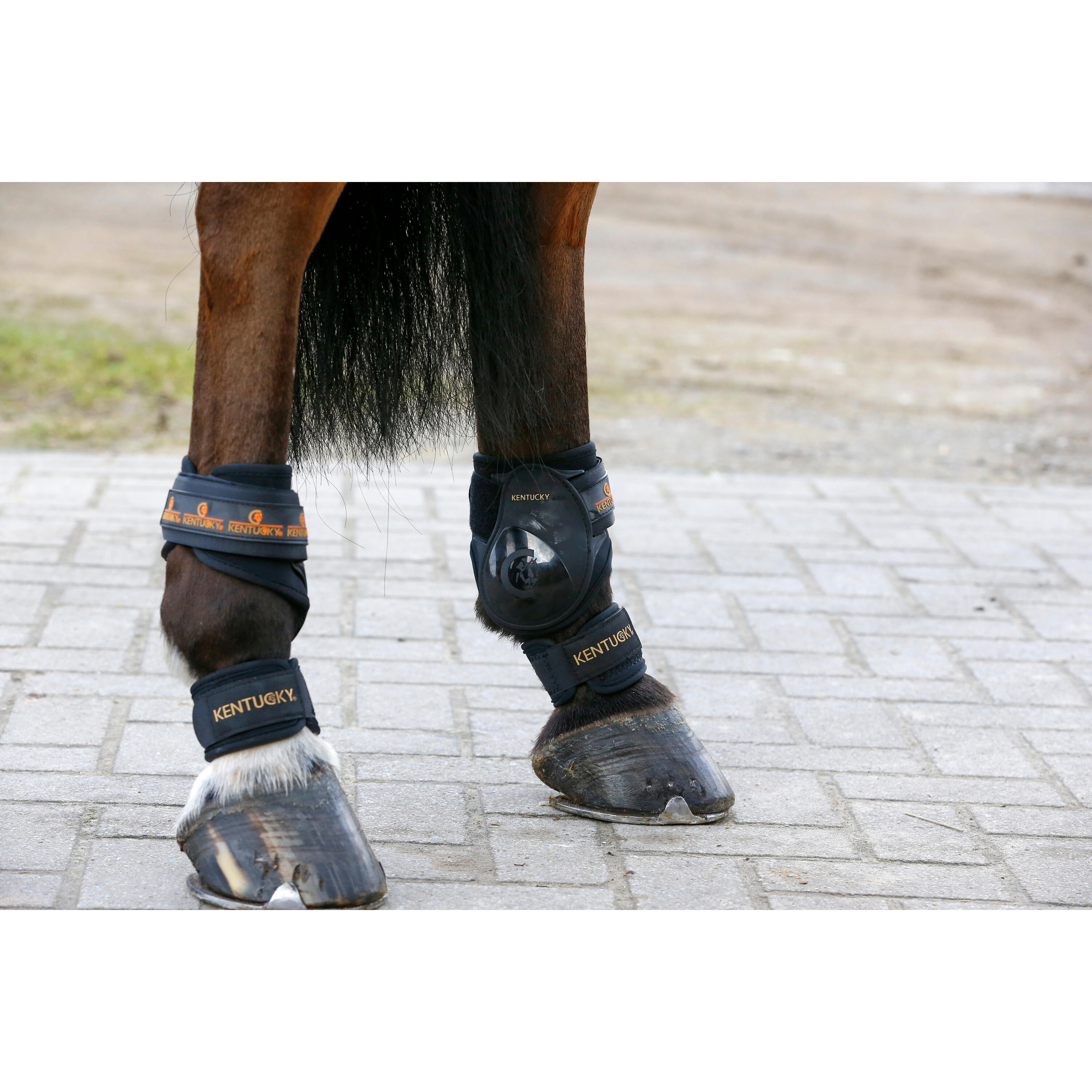 Set van 2 paarden booby guards Kentucky 3/5