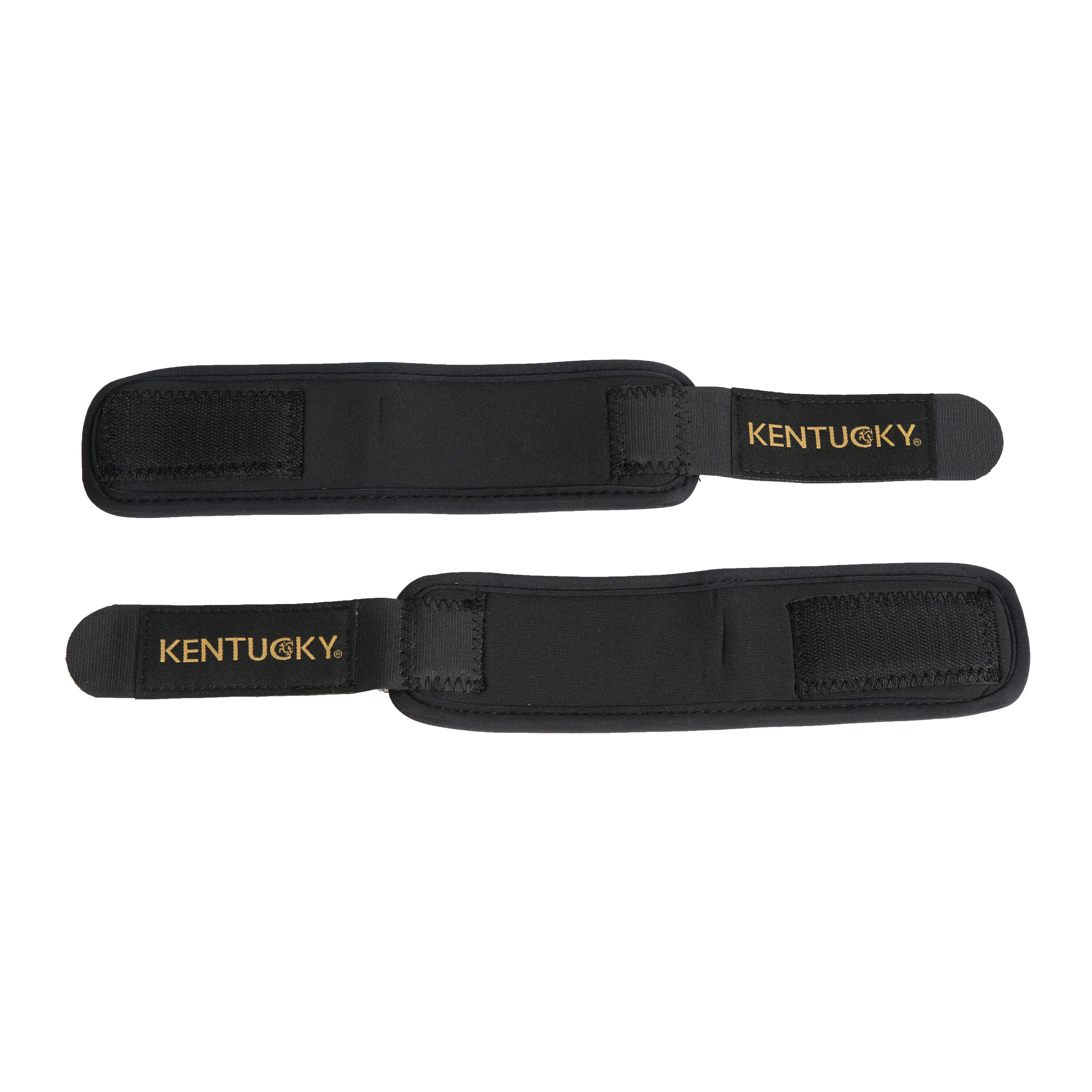 Set van 2 paarden booby guards Kentucky 2/5