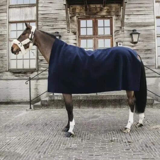 Manta para el caballo de secado cuadrado Kentucky 2/7