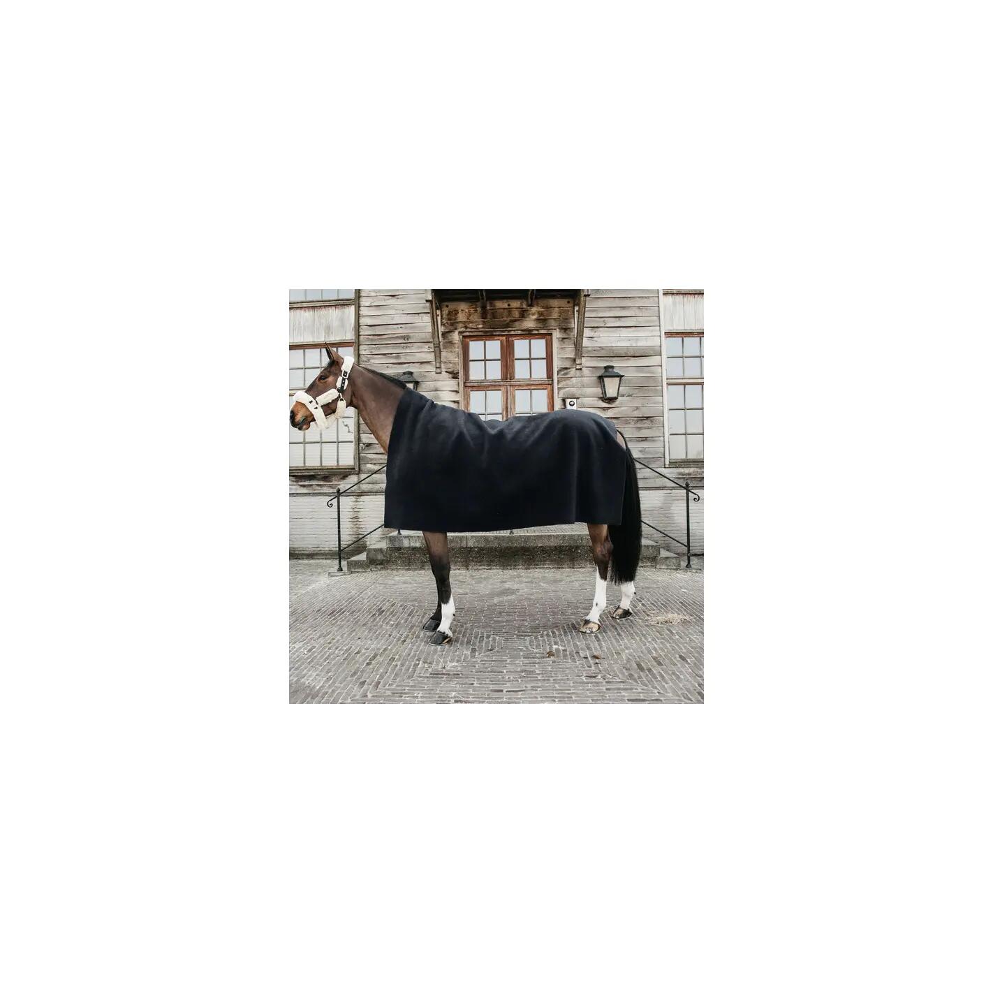 Coperta asciugante per cavalli Kentucky 2/7