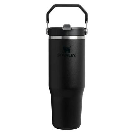 Gourde Stanley The IceFlow Flip Straw 2.0