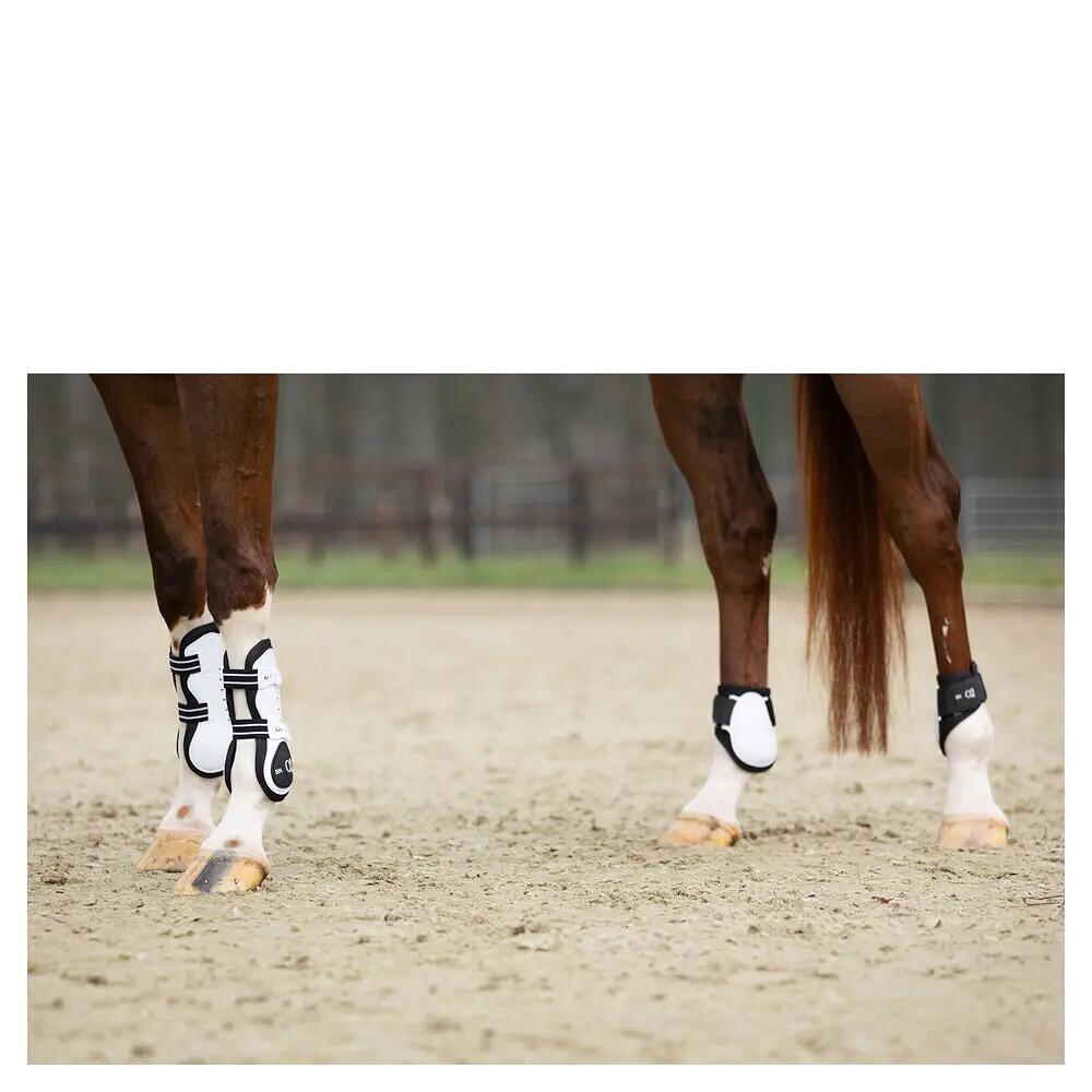 Protectores de articulaciones para caballos BR Equitation XO2 3/7