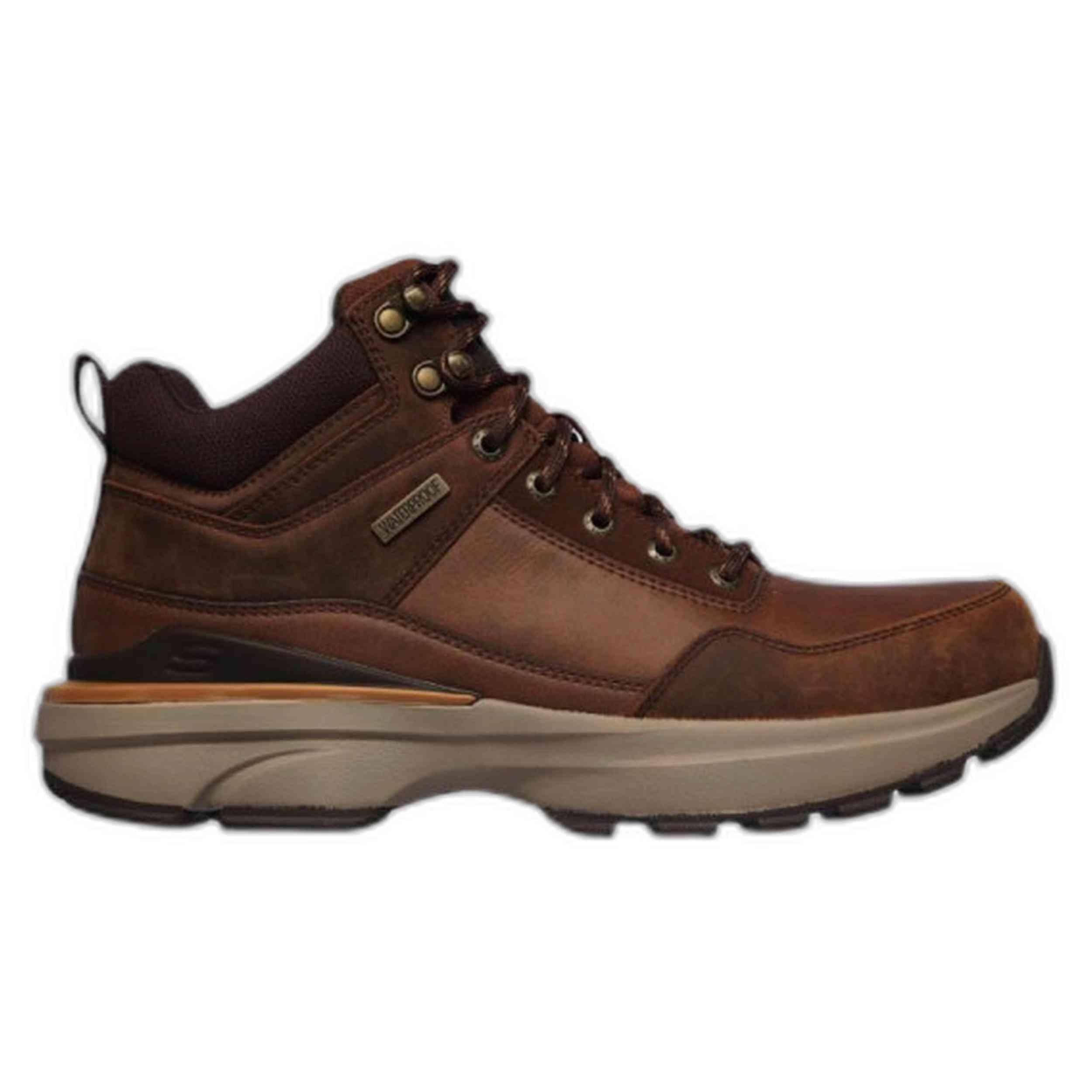 SKECHERS picture