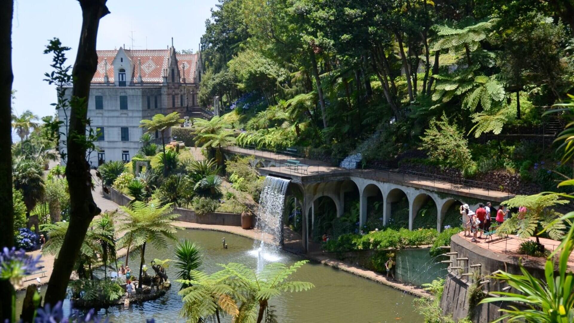 Madère : le Jardin flottant entre océan forêts luxuriantes et levadas 1/1
