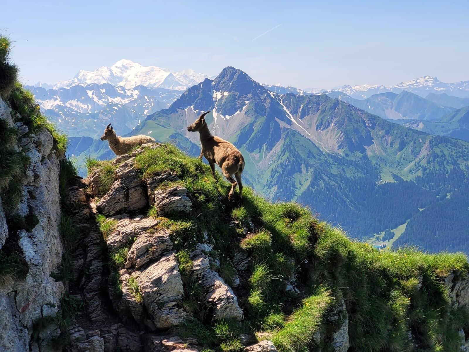 DECATHLON TRAVEL picture