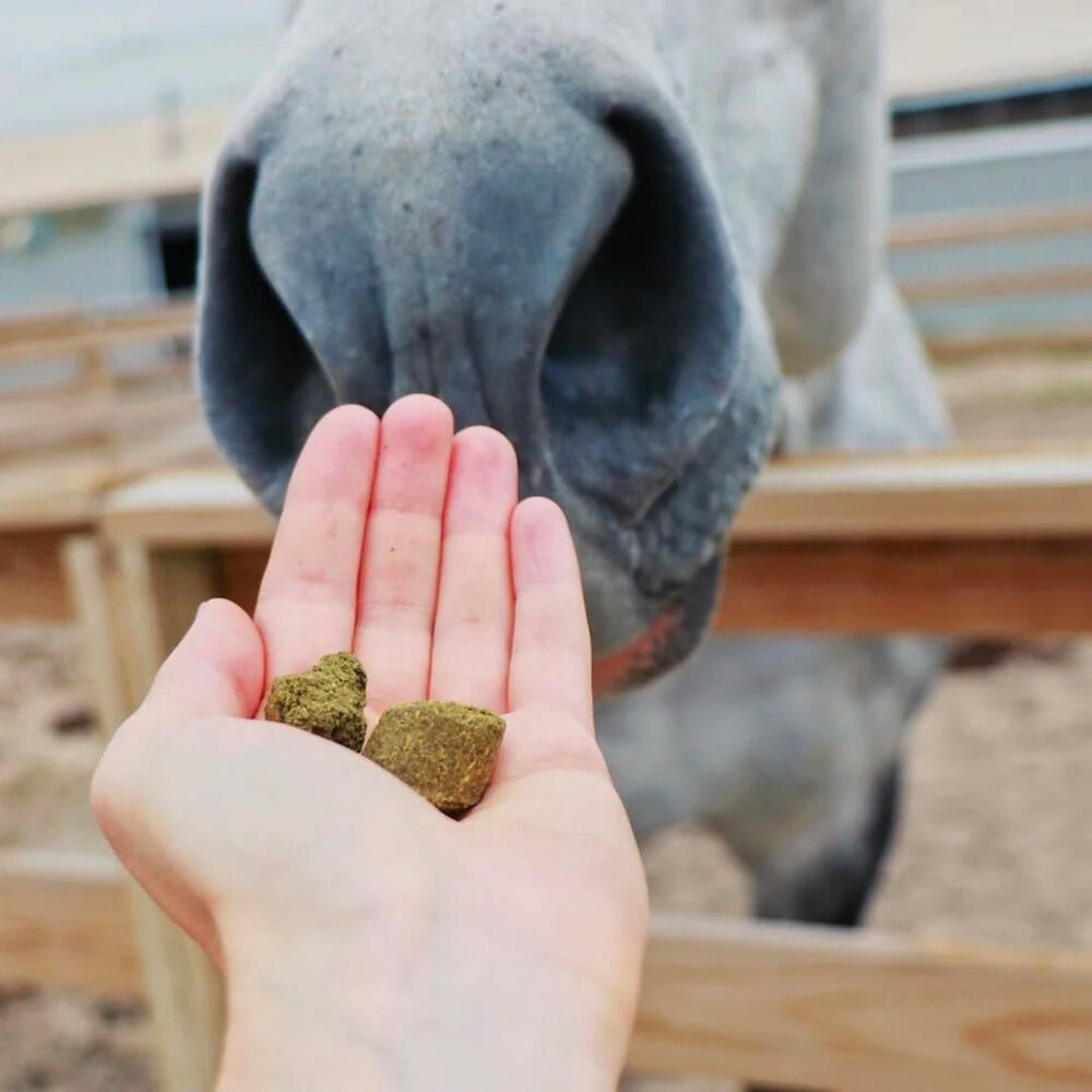 Friandises naturelles cheval Herballs Framboisier guimauve Hilton Herbs 3/5